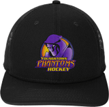 Youngstown Phantoms New Era Snapback Low Profile Trucker Cap
