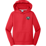 Scary Badgers Youth Performance Fleece Pullover Hooded Sweatshirt